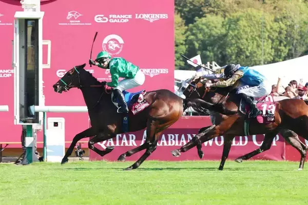 ４８年ぶりに牡馬で凱旋門賞連覇のダリズが電撃引退！　アガ・カーンスタッズで種牡馬入りへ
