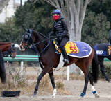 「【ターコイズＳ・角田の特注馬】１週前追い切りが過去最高レベルの動き！　ボンドガールがついに２勝目だ」の画像1