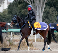 【ターコイズＳ・角田の特注馬】１週前追い切りが過去最高レベルの動き！　ボンドガールがついに２勝目だ