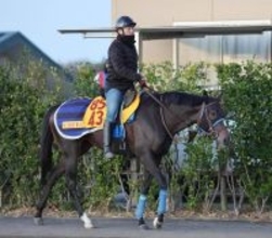 【中山金杯】満を持して重賞初制覇を狙うアンゴラブラック　尾関調教師「リフレッシュされていい感じです」