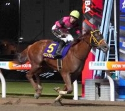 【サウジダービー】地方馬３頭目の海外重賞Ｖへ　ベストグリーンが最終追い切り　田中淳司調教師「毛づやも素晴らしい」