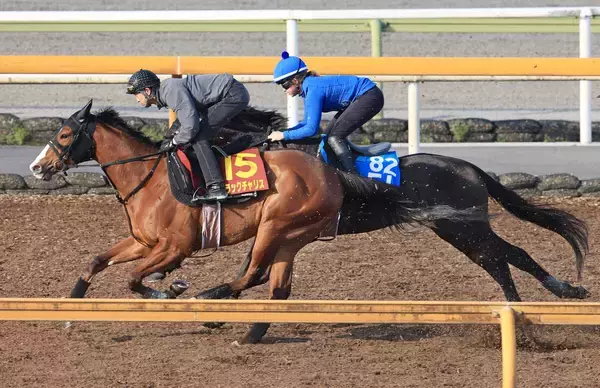 【Ｇ１トク捜リレー】栗東・水納記者は武幸厩舎のブラックチャリスが気になる様子　馬なりで動きパワフル　桜花賞