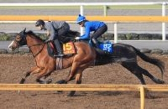 【Ｇ１トク捜リレー】栗東・水納記者は武幸厩舎のブラックチャリスが気になる様子　馬なりで動きパワフル　桜花賞