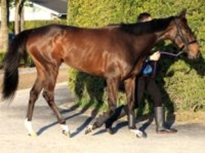 「本命は譲れない」「ご加護があらん事を」オークスで母子制覇目指す良血馬に早くもエール　桜花賞５着アランカール