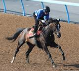 「日曜東京競馬場の注目激走馬…東京１１Ｒオークス・Ｇ１」の画像1