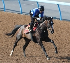 日曜東京競馬場の注目激走馬…東京１１Ｒオークス・Ｇ１