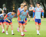 「【Ｗ杯】日本代表に合流した「麻也先生」がオランダの攻略法を伝授　敵将はイングランド時代の監督、米国での経験も…」の画像1