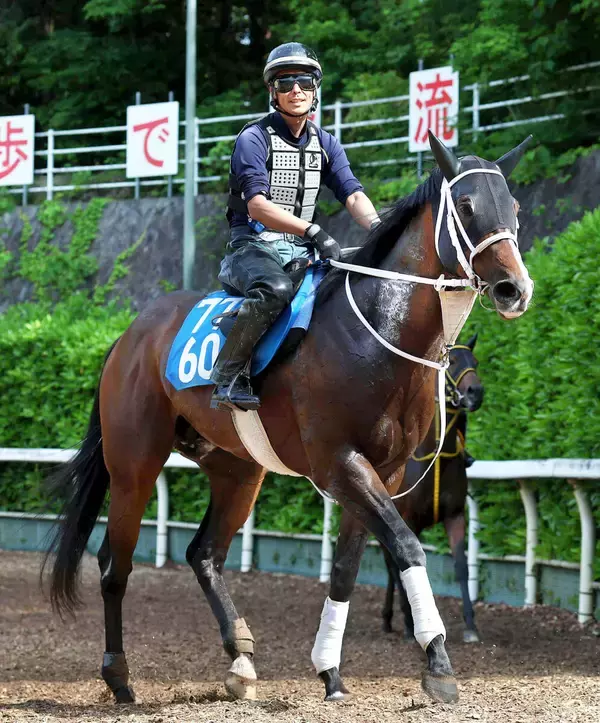 【東海Ｓ】「モノが違うな」遅咲きの花を咲かせつつあるベルジュロネット　母は２年連続夏のスプリント女王