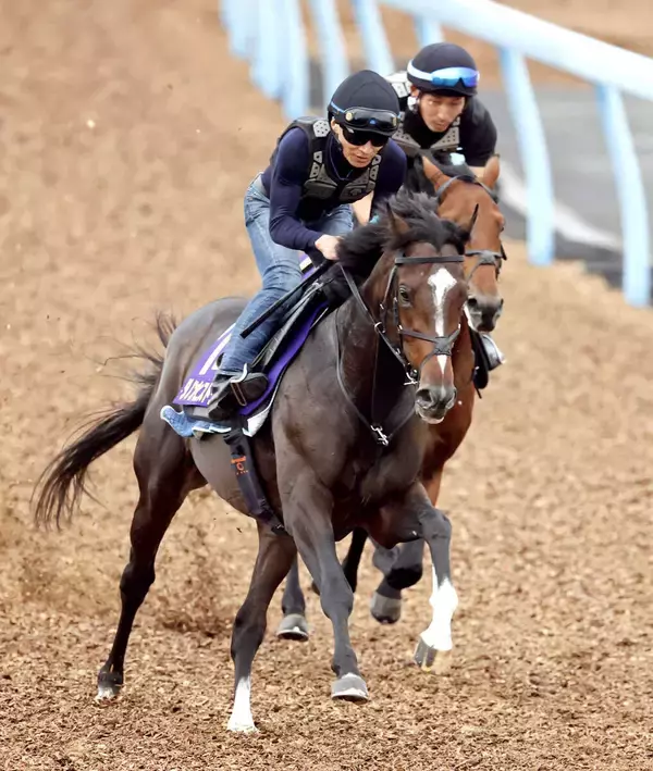 【菊花賞】２冠馬撃破へ　ダノンヒストリーは風格漂う最終デモ　堀調教師「今まで調教させてもらった中でも一番フットワークが大きいのでは」