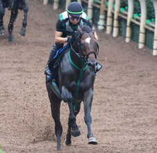 【天皇賞・秋・ヤマタケの特注馬】エイシンフラッシュ来場の日だからこそ怖い鞍上と初コンビ　堅実派タガノデュードが府中ではじける