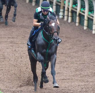 【天皇賞・秋・ヤマタケの特注馬】エイシンフラッシュ来場の日だからこそ怖い鞍上と初コンビ　堅実派タガノデュードが府中ではじける