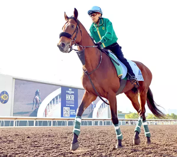 【香港カップ】ベラジオオペラは気合乗って海外初出走へ　上村調教師「レースがあるのが分かってきている」