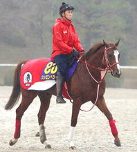 【有馬記念】シンエンペラーはＣＷコースで軽め　陣営「頭が高くてもリラックスした走り」
