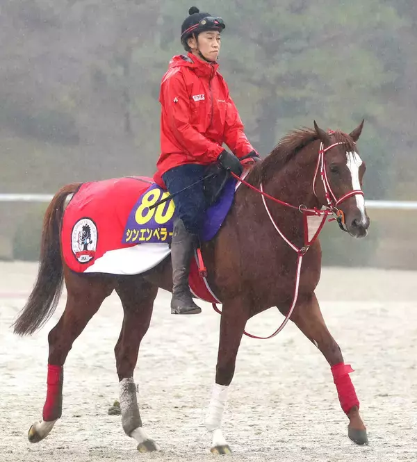 【有馬記念】シンエンペラーはＣＷコースで軽め　陣営「頭が高くてもリラックスした走り」