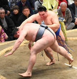 「長女の育児でも粘り腰？「時間がかかったけど、かわいい」…全勝の欧勝馬が明かすパワーの源」の画像1