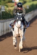 【注目馬動向】白毛のマルガが栗東で調教再開　武豊騎手と臨むクイーンＣは阪神ＪＦ２着のギャラボーグなど強敵そろう