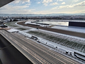 ９日予定の京都競馬の代替開催は降雪で１０日にスライド　淀駅から引き返すファンの姿も