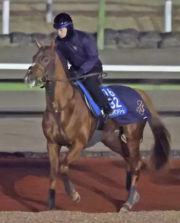 【アミールＴ】ビザンチンドリームは７頭立ての６番枠に決定　ディープモンスターは１番、サトノグランツは５番