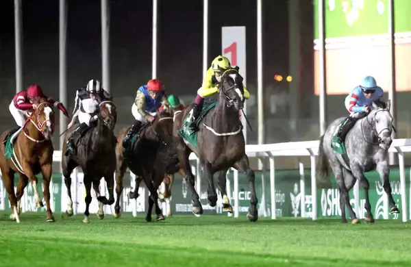 【ネオムターフＣ】逃げたヤマニンブークリエは５着に粘り込む　横山典弘騎手「大したものだよ」