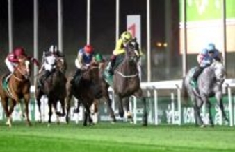 【ネオムターフＣ】逃げたヤマニンブークリエは５着に粘り込む　横山典弘騎手「大したものだよ」