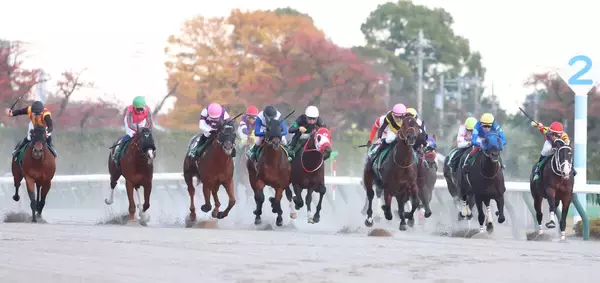 【フェブラリーＳ・超ブル診断ステップレース編】大出遅れの武蔵野Ｓを強烈な末脚で追い込んだ２着馬を最高「Ｇ」評価