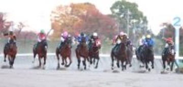 【フェブラリーＳ・超ブル診断ステップレース編】大出遅れの武蔵野Ｓを強烈な末脚で追い込んだ２着馬を最高「Ｇ」評価