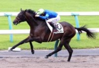 【注目馬動向】無傷３連勝中のパイロマンサーはＵＡＥダービー出走の場合はＪドイル騎手と新コンビ