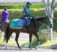 【アンタレスＳ】フェブラリーＳで４着のブライアンセンスが重賞２勝目へ　陣営はＧ３で大きな期待