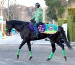 【注目馬動向】アルクオーツスプリント２着のルガル　英Ｇ１の直線競馬クイーンエリザベス２世ジュビリーＳへ