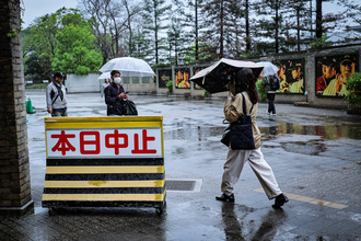 【阪神】天候不良のため巨人戦の中止決定　開幕からの連続カード勝ち越しは５でストップ　予告先発はイーストン・ルーカスと田中将大　