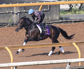 【宝塚記念・２週前】ミュージアムマイルは坂路で余裕残し　高柳大調教師「来週はしっかり動けると思います」