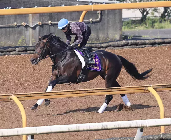 【宝塚記念・２週前】ミュージアムマイルは坂路で余裕残し　高柳大調教師「来週はしっかり動けると思います」