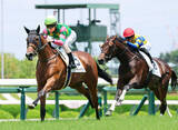 「【阪神５Ｒ・２歳新馬】２歳新馬戦スタートで衝撃走る！　阪神一番星は上がり３ハロン仁川史上最速ジーティーサクラ」の画像1