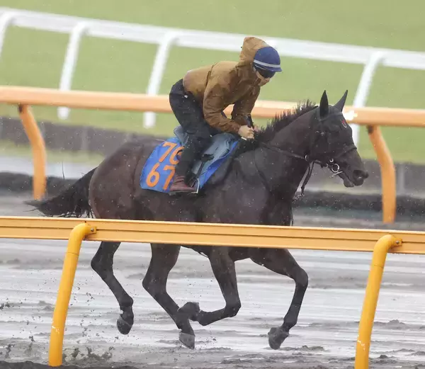 【函館スプリントＳ】５戦ぶりに芝へ再投入のポッドベイダー　陣営「雰囲気は悪くない」
