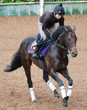 【注目馬動向】昨年の皐月賞＆有馬記念勝ち馬ミュージアムマイル　骨膜が出た右膝のクリーニング処置で夏場は休養