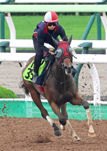 【函館２歳Ｓ】武豊騎手で初戦圧勝のシグレは７枠１１番　サリオス産駒イモージェンは６枠９番　枠順決定