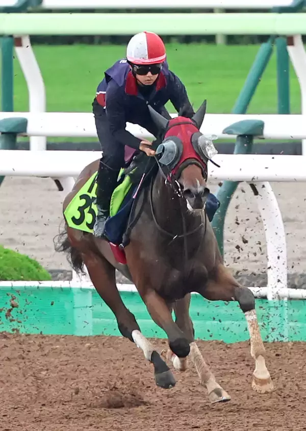 【函館２歳Ｓ】武豊騎手で初戦圧勝のシグレは７枠１１番　サリオス産駒イモージェンは６枠９番　枠順決定