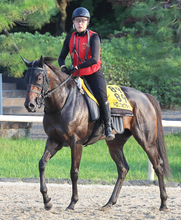【関屋記念】７歳牝馬ドロップオブライトが重賞３勝目へ　福永調教師「夏場はいいんやろな」