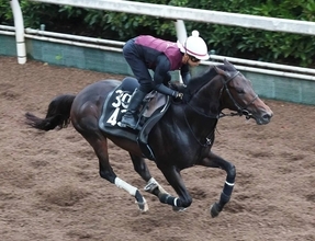 【中京７Ｒ・豊橋Ｓ】まさかの掲示板外に沈んだ１番人気アンドゥーリル　３連単は１６万円超の大荒れに
