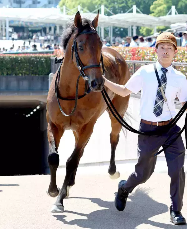 【２日の注目・中京６Ｒ】前走６馬身差圧勝のトミーバローズ　１勝クラスでＧ１級の勝ち時計をマーク