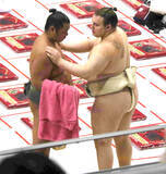 「大関・安青錦が夏巡業を完走「いろいろな人と関わって、気持ち的にもリフレッシュできた」　左足の回復は順調」の画像1