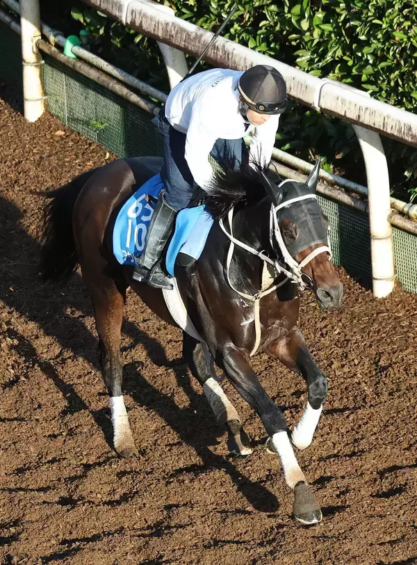 【ＪＢＣクラシック】アウトレンジがＧ１級競走初Ｖへ力強い走り　大久保調教師「上がっているのは間違いない」