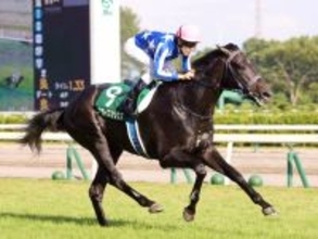 【朝日杯ＦＳ・超ブル診断データ編】阪神ＪＦはスターアニスを推奨　２歳マイル王決定戦も「大きい」が正解！