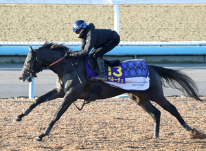 【朝日杯ＦＳ】血統馬スペルーチェは６枠９番　陣営「周りを見ながらポジションを取るにはいい枠」