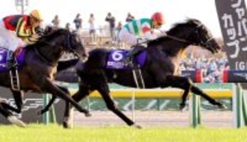 ２２年ジャパンＣ覇者ヴェラアズールがノーザンホースパークに到着　ファン安堵「行き先決まってよかった」