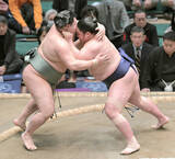 「西十両筆頭・藤青雲が９勝目　来場所の新入幕に大きく前進「安心できない。自分が（部屋を）引っ張っていけるように」」の画像1