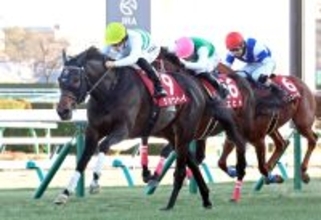 【アメリカＪＣＣ】“強い４歳世代”がまたタイトル奪取　ショウヘイがレースレコードで重賞２勝目