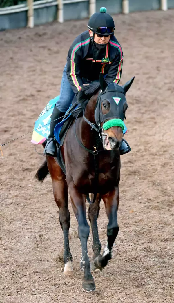 【根岸Ｓ】２４年覇者エンペラーワケアは１週前に好時計マーク　杉山晴調教師「ある程度動ける状態です」