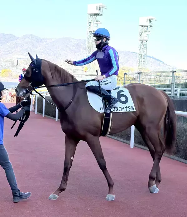 「やっべえぞ！」「その名に恥じない走り」３歳世代最後の新馬戦は末脚全開で圧勝したゼンカイナダル