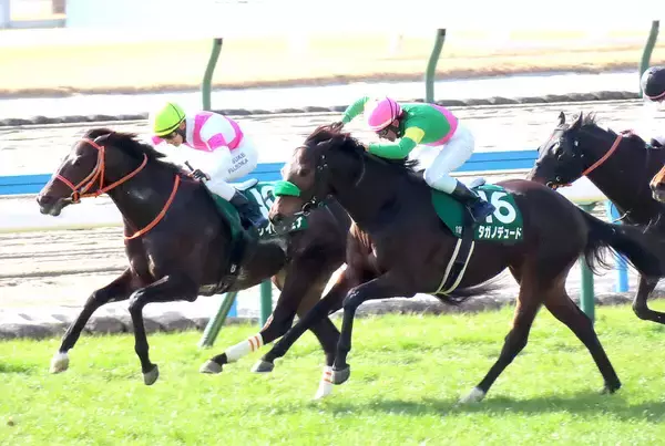 【小倉大賞典】古川吉洋騎手がタガノデュードでＪＲＡ通算６００勝目「佑介とは最後なので、抜かしてやろうと」